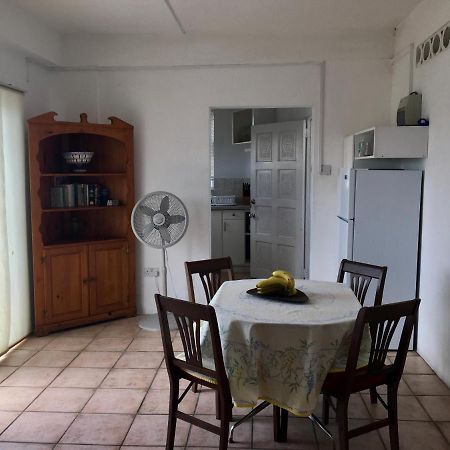 Carenage View Appartement St. George's Buitenkant foto