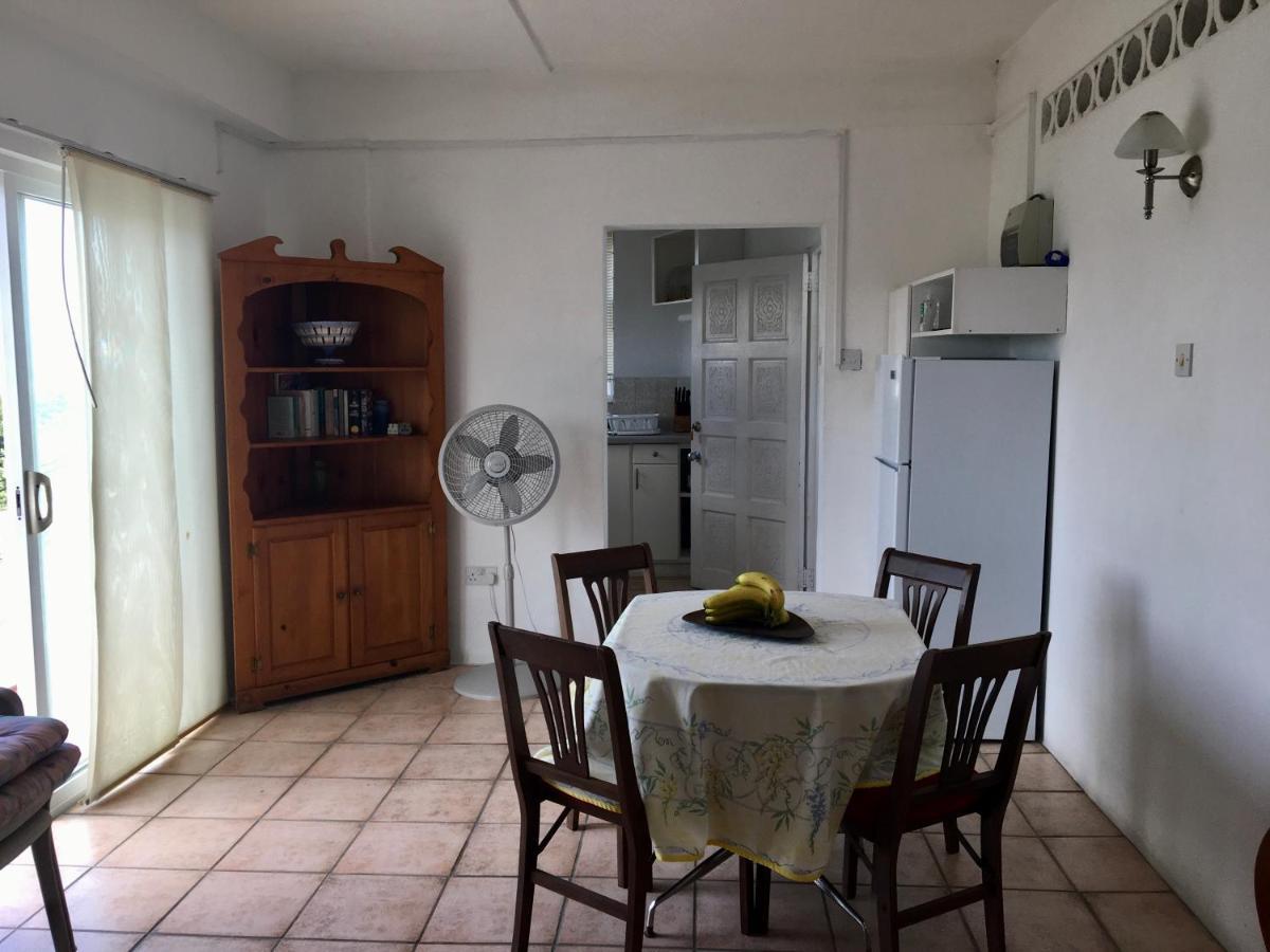 Carenage View Appartement St. George's Buitenkant foto