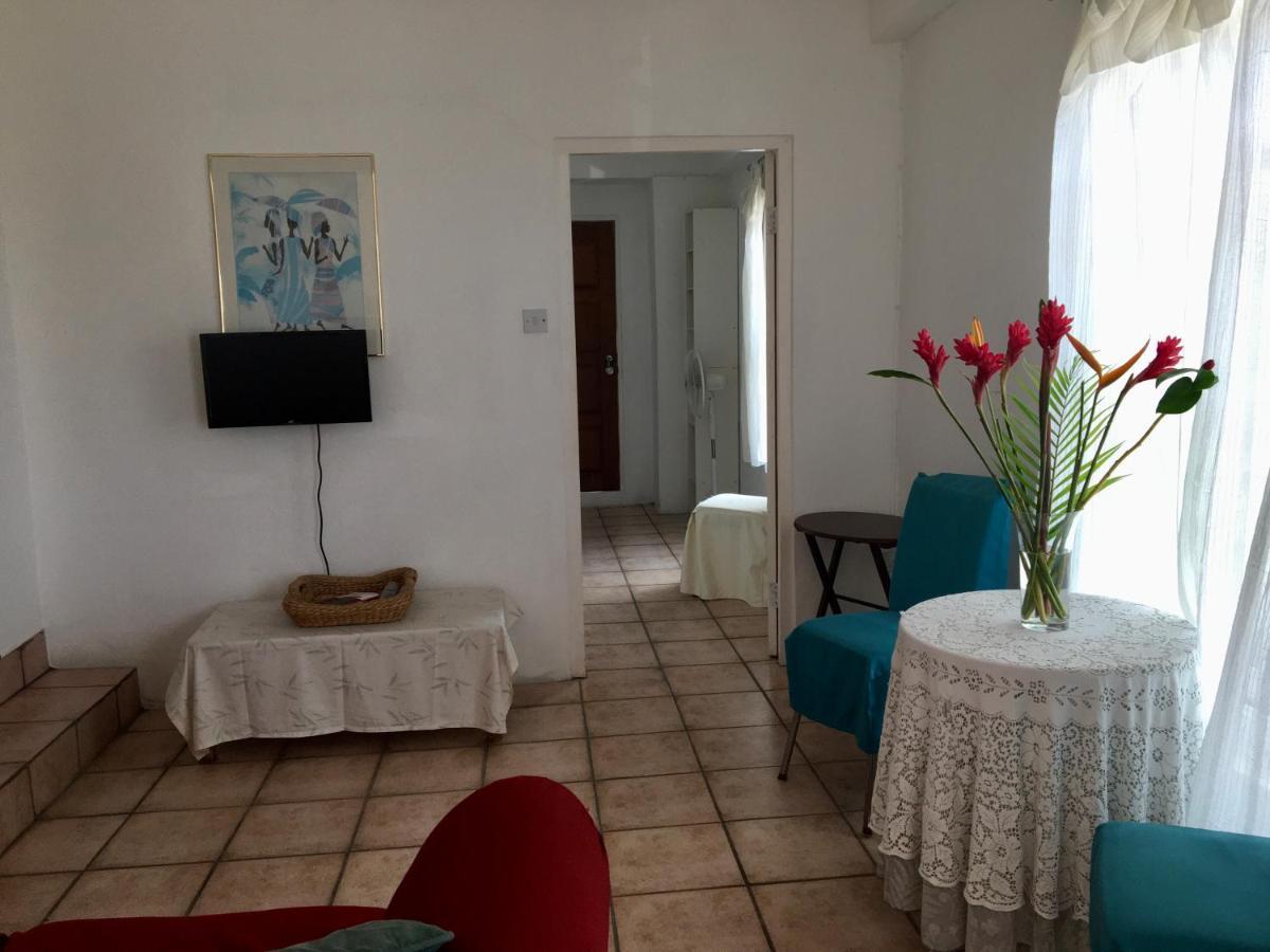 Carenage View Appartement St. George's Buitenkant foto