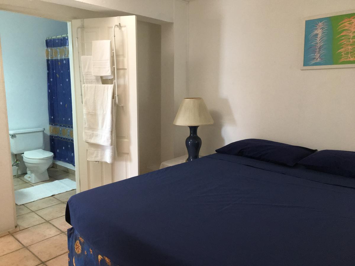 Carenage View Appartement St. George's Buitenkant foto