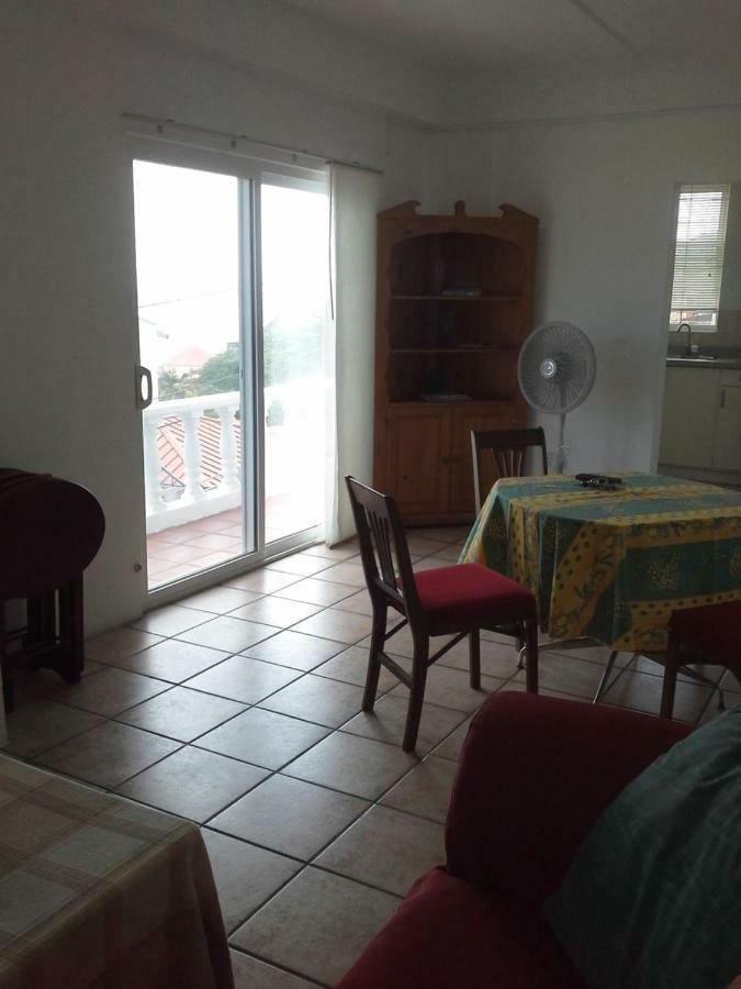 Carenage View Appartement St. George's Buitenkant foto