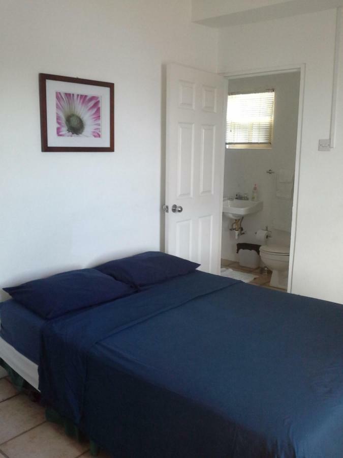 Carenage View Appartement St. George's Buitenkant foto